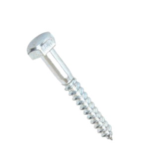 COACH SCREW